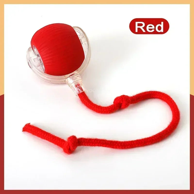2025 Hot Electric Dog Ball Toys Automatic Rolling Ball Rechargeable Smart Pet Interactive Plush Toy Dog Cat Training