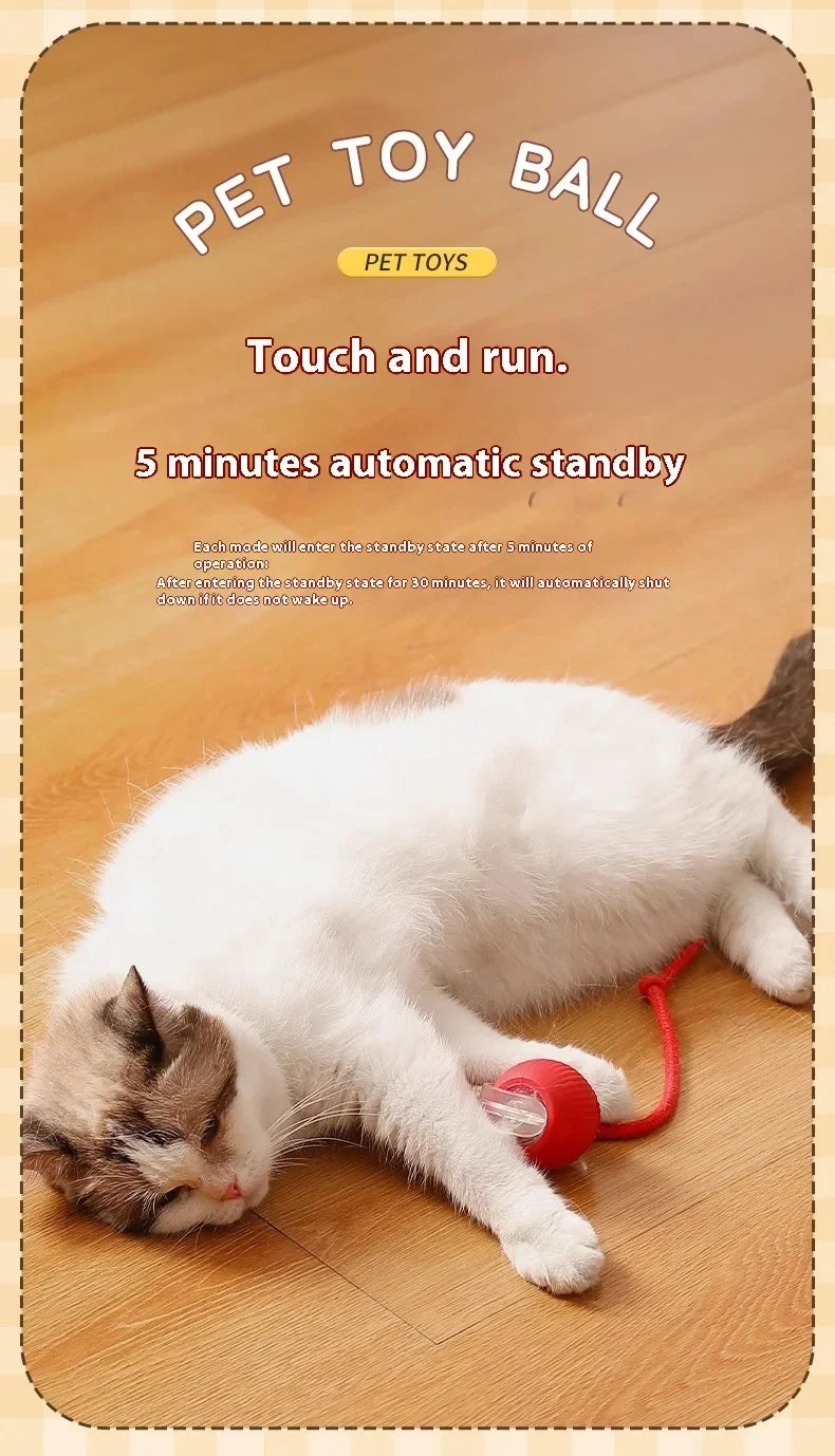 2025 Hot Electric Dog Ball Toys Automatic Rolling Ball Rechargeable Smart Pet Interactive Plush Toy Dog Cat Training