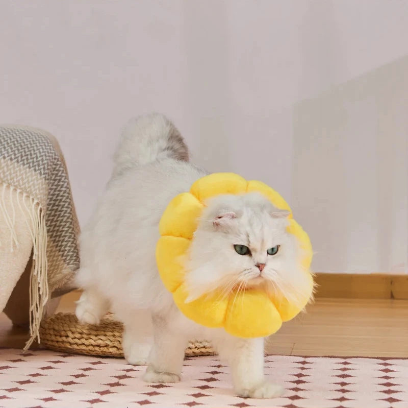 Cat Cone Collar Soft, Cat Recovery Collar for Wound Healing,Comfortable Lightweight Neck Elizabethan Collar for Post-Surgery Cat