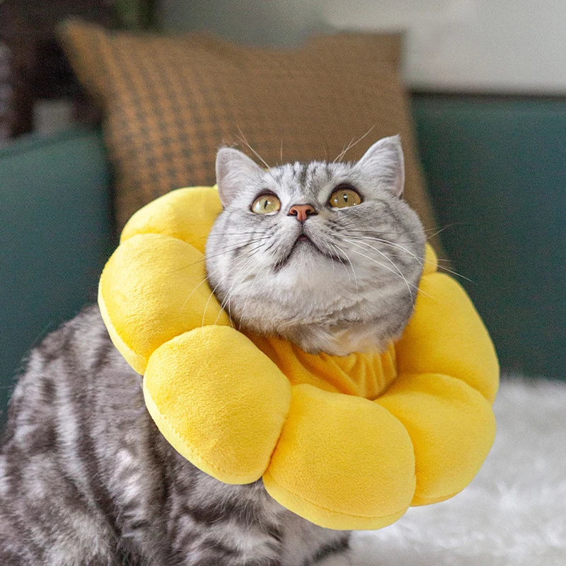 Cat Cone Collar Soft, Cat Recovery Collar for Wound Healing,Comfortable Lightweight Neck Elizabethan Collar for Post-Surgery Cat