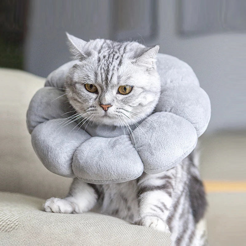 Cat Cone Collar Soft, Cat Recovery Collar for Wound Healing,Comfortable Lightweight Neck Elizabethan Collar for Post-Surgery Cat