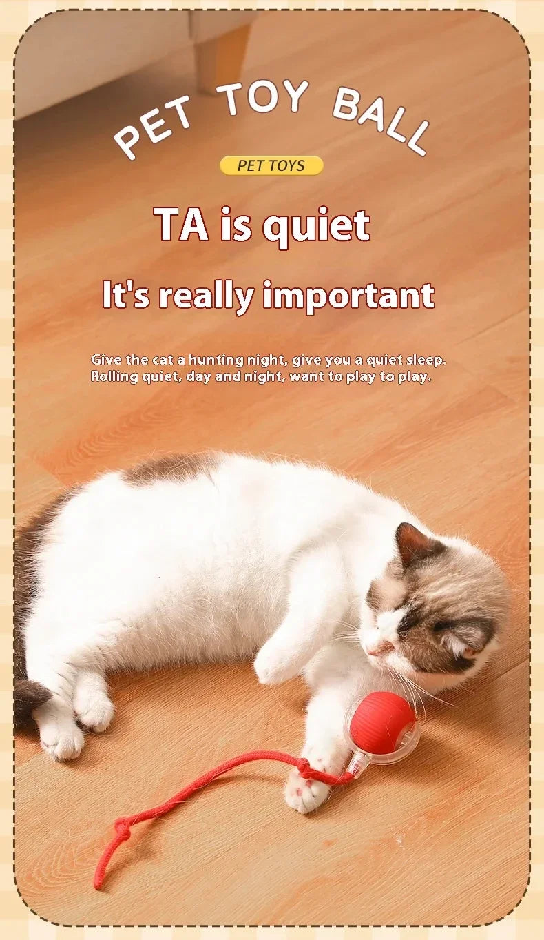 2025 Hot Electric Dog Ball Toys Automatic Rolling Ball Rechargeable Smart Pet Interactive Plush Toy Dog Cat Training