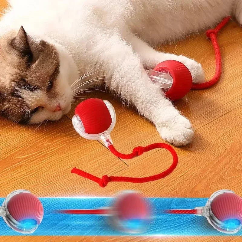 2025 Hot Electric Dog Ball Toys Automatic Rolling Ball Rechargeable Smart Pet Interactive Plush Toy Dog Cat Training