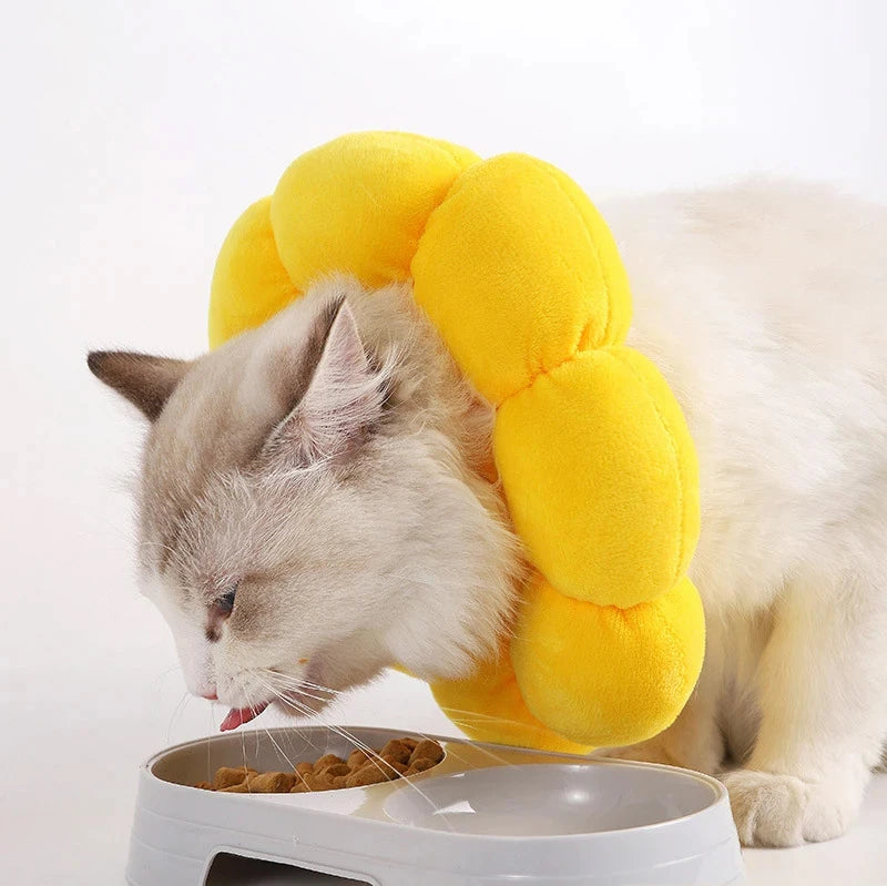 Cat Cone Collar Soft, Cat Recovery Collar for Wound Healing,Comfortable Lightweight Neck Elizabethan Collar for Post-Surgery Cat