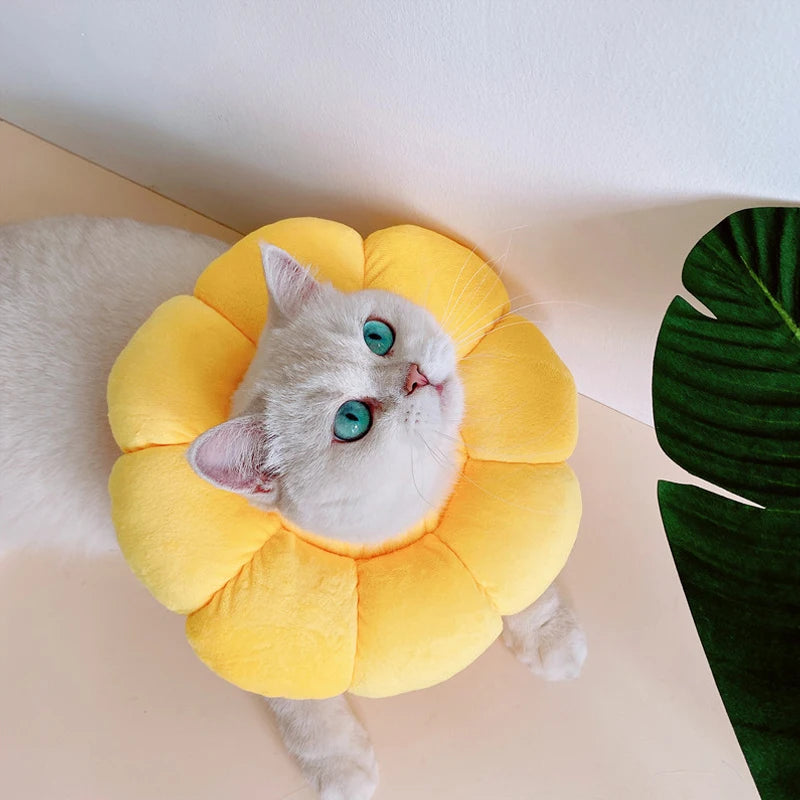 Cat Cone Collar Soft, Cat Recovery Collar for Wound Healing,Comfortable Lightweight Neck Elizabethan Collar for Post-Surgery Cat