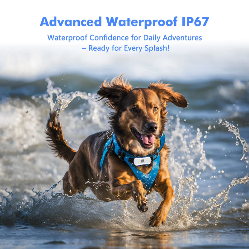 ‌4G Dog Cat GPS Tracker for Pets - Waterproof Smart Locator with App, Live Tracking & Light/Sound Search, Free Trial Included