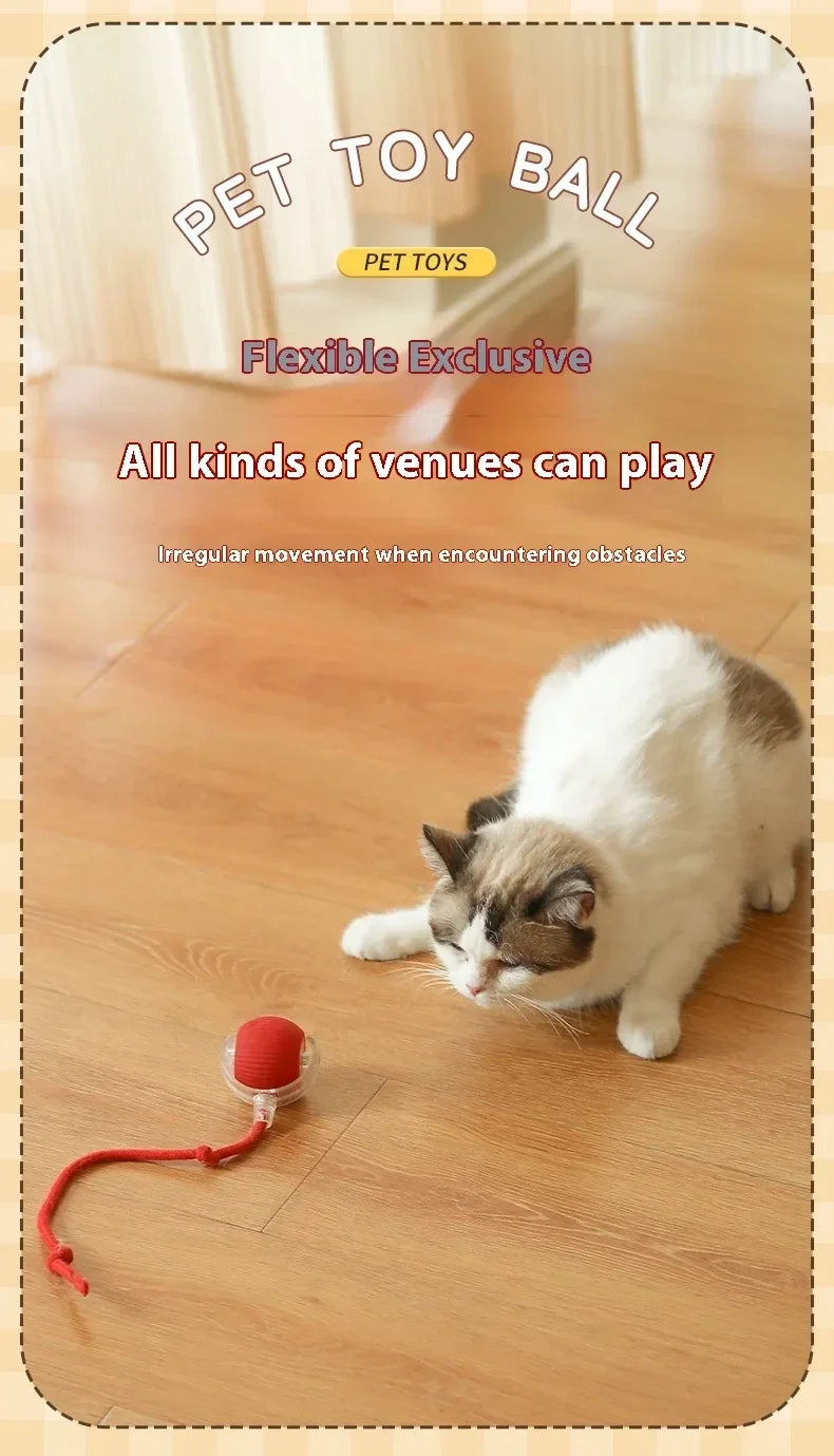 2025 Hot Electric Dog Ball Toys Automatic Rolling Ball Rechargeable Smart Pet Interactive Plush Toy Dog Cat Training