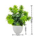 Artificial Plant Tree Window Sill Office Table Desktop Decoration Plastic Garden Fake Plant Potted Home Decor Potted Ornaments