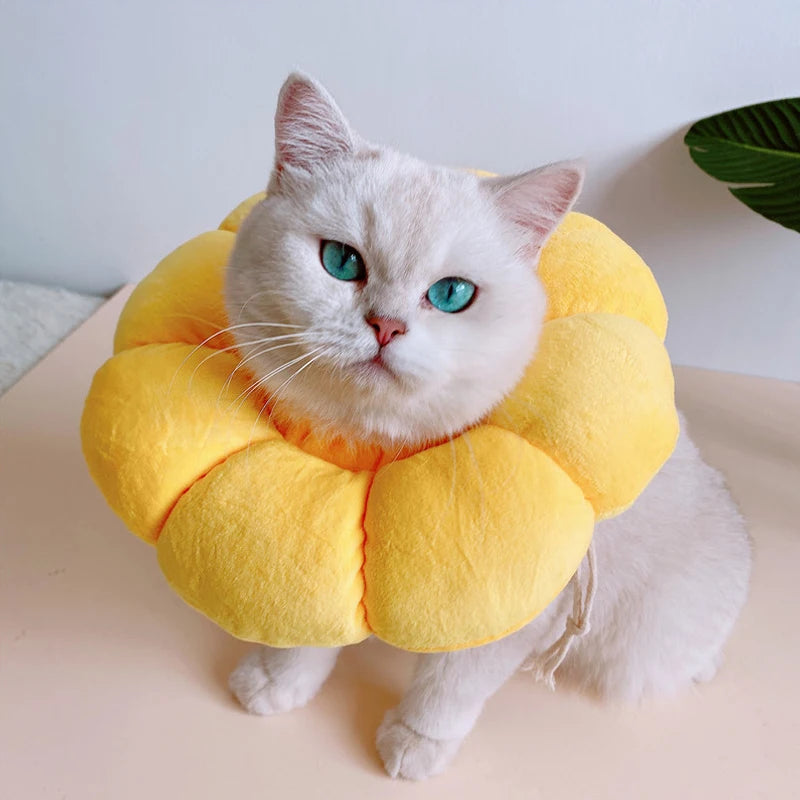 Cat Cone Collar Soft, Cat Recovery Collar for Wound Healing,Comfortable Lightweight Neck Elizabethan Collar for Post-Surgery Cat
