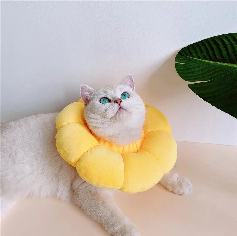 Cat Cone Collar Soft, Cat Recovery Collar for Wound Healing,Comfortable Lightweight Neck Elizabethan Collar for Post-Surgery Cat