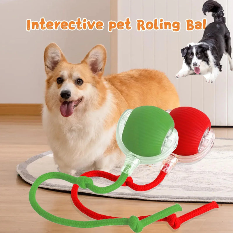 2025 Hot Electric Dog Ball Toys Automatic Rolling Ball Rechargeable Smart Pet Interactive Plush Toy Dog Cat Training