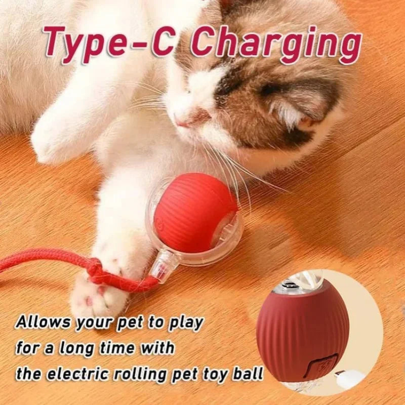2025 Hot Electric Dog Ball Toys Automatic Rolling Ball Rechargeable Smart Pet Interactive Plush Toy Dog Cat Training