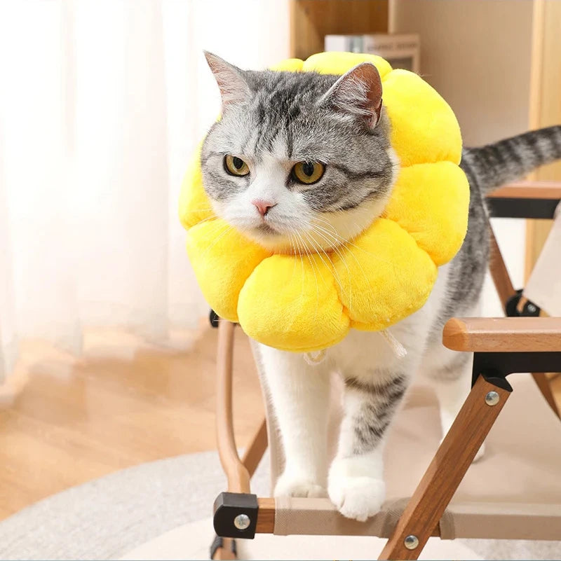 Cat Cone Collar Soft, Cat Recovery Collar for Wound Healing,Comfortable Lightweight Neck Elizabethan Collar for Post-Surgery Cat