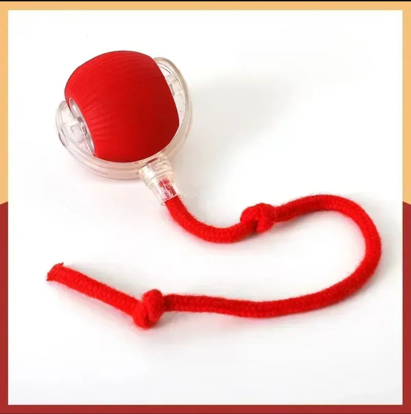2025 Hot Electric Dog Ball Toys Automatic Rolling Ball Rechargeable Smart Pet Interactive Plush Toy Dog Cat Training